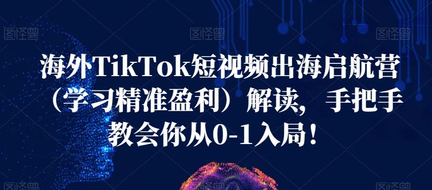海外TikTok短视频出海启航营（学习精准盈利）解读，手把手教会你从0-1入局！-三石淘金网