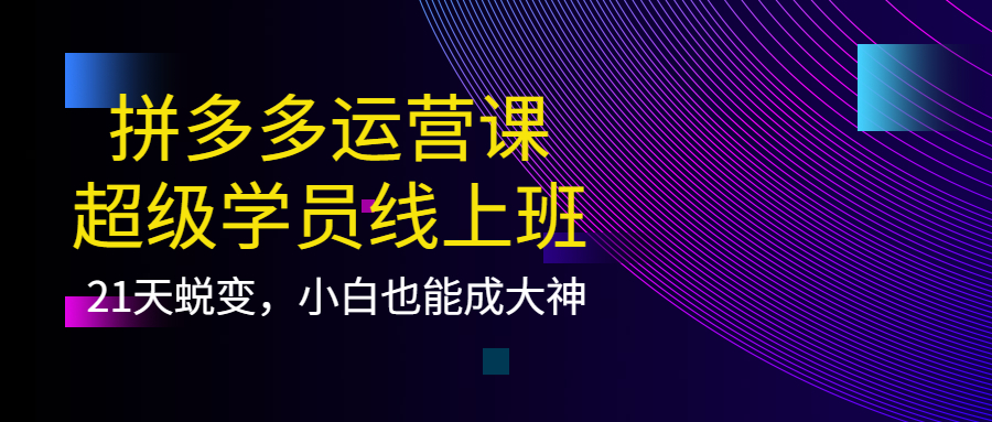 拼多多运营课：超级学员线上班，21天蜕变，小白也能成大神-三石资源库