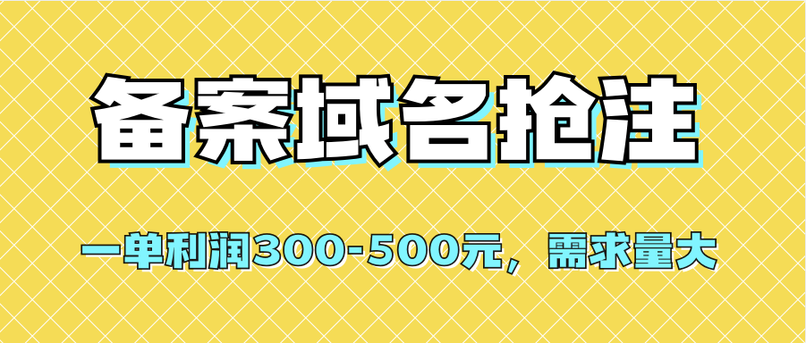 【全网首发】备案域名抢注，一单利润300-500元，需求量大-三石资源库