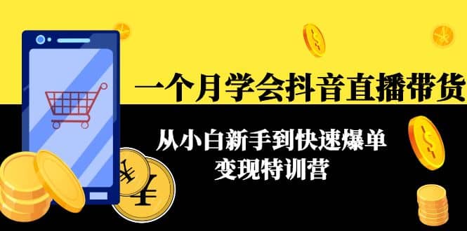 一个月学会抖音直播带货：从小白新手到快速爆单变现特训营(63节课)-三石资源库