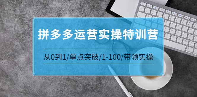 拼多多运营实操特训营：从0到1/单点突破/1-100/带领实操 价值2980元-三石资源库