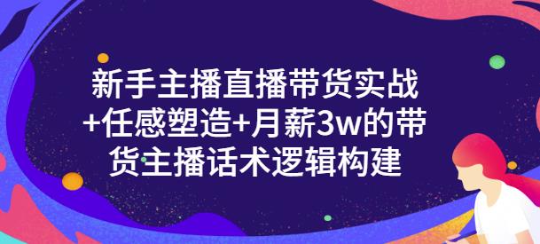 新手主播直播带货实战+信任感塑造+月薪3w的带货主播话术逻辑构建-三石资源库