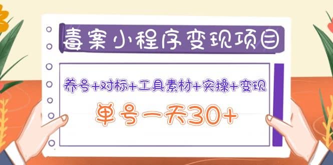 毒案小程序变现项目：养号+对标+工具素材+实操+变现-三石资源库