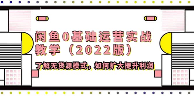 闲鱼0基础运营实战教学（2022版）了解无货源模式，如何扩大提升利润-三石资源库