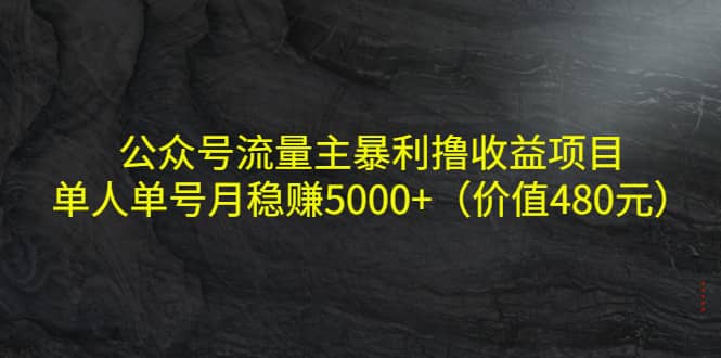 公众号流量主暴利撸收益项目，单人单号月稳赚5000+（价值480元）-三石资源库