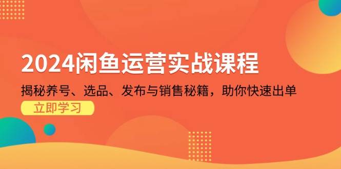 （13290期）2024闲鱼运营实战课程：揭秘养号、选品、发布与销售秘籍，助你快速出单-三石资源库