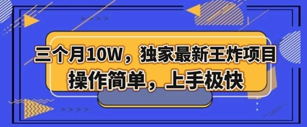 三个月10W，独家最新王炸项目！操作简单，上手极快【揭秘】-三石淘金网