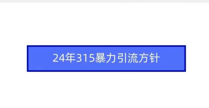 24年315暴力引流方针-三石资源库