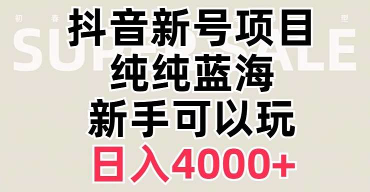 抖音蓝海赛道，必须是新账号，日入4000+【揭秘】-三石淘金网
