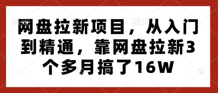 网盘拉新项目，从入门到精通，靠网盘拉新3个多月搞了16W-三石资源库