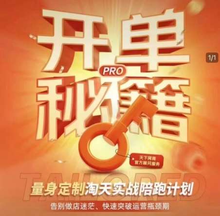 淘宝开单秘籍PRO，量身定制淘天实战陪跑计划，告别做店迷茫、快速突破运营瓶颈期-三石资源库