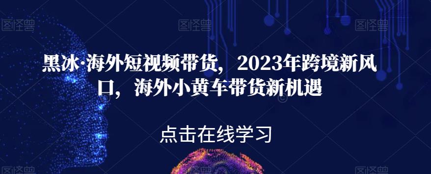 黑冰·海外短视频带货，2023年跨境新风口，海外小黄车带货新机遇-三石资源库