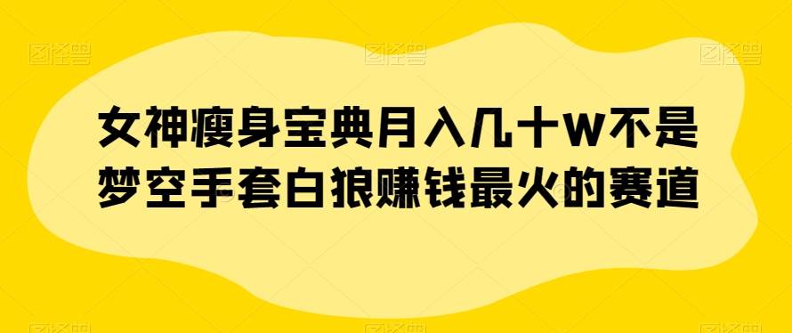 女神瘦身宝典月入几十W不是梦空手套白狼赚钱最火的赛道【揭秘】-三石淘金网