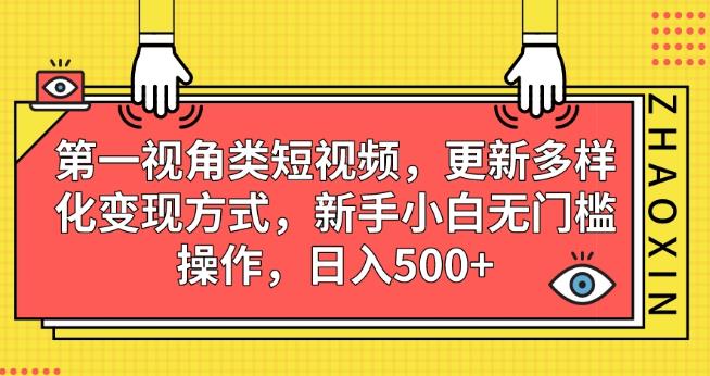 第一视角类短视频，更新多样化变现方式，新手小白无门槛操作，日入500+【揭秘】-三石资源库