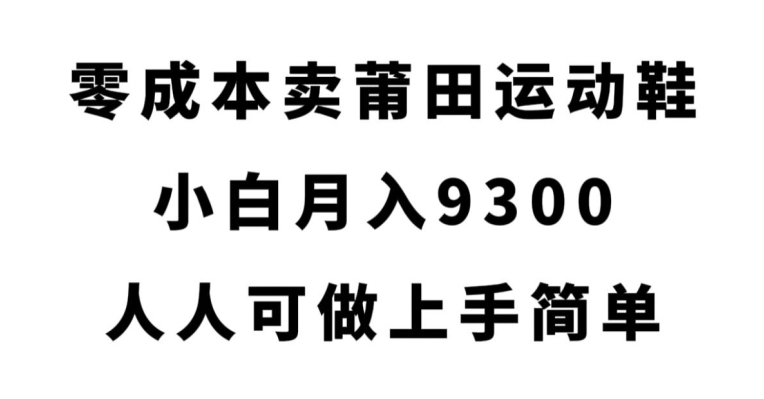 零成本卖莆田运动鞋，小白月入9300，人人可做上手简单【揭秘】-三石淘金网