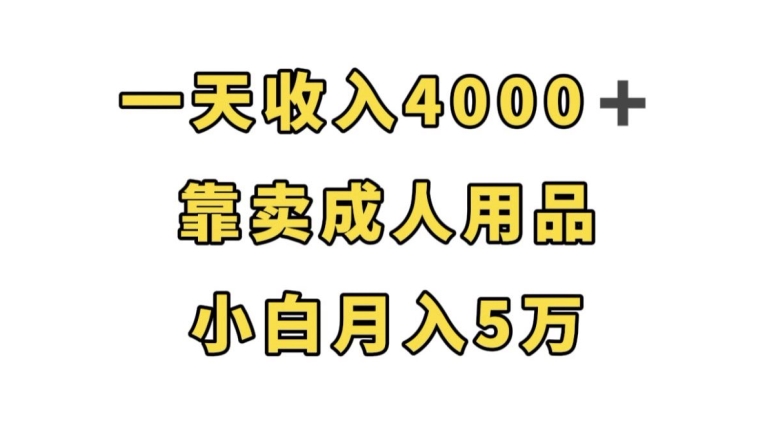 一天收入4000+，靠卖成人用品，小白轻松月入5万【揭秘】-三石资源库
