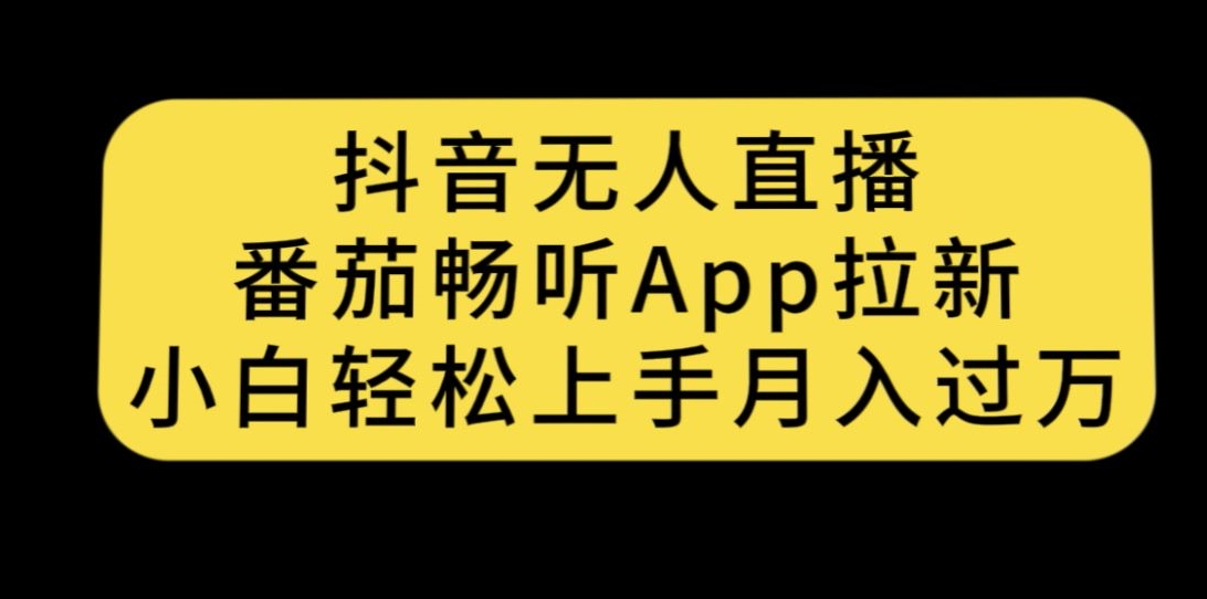 抖音无人直播，番茄畅听APP拉新，小白轻松上手月入过万-三石资源库