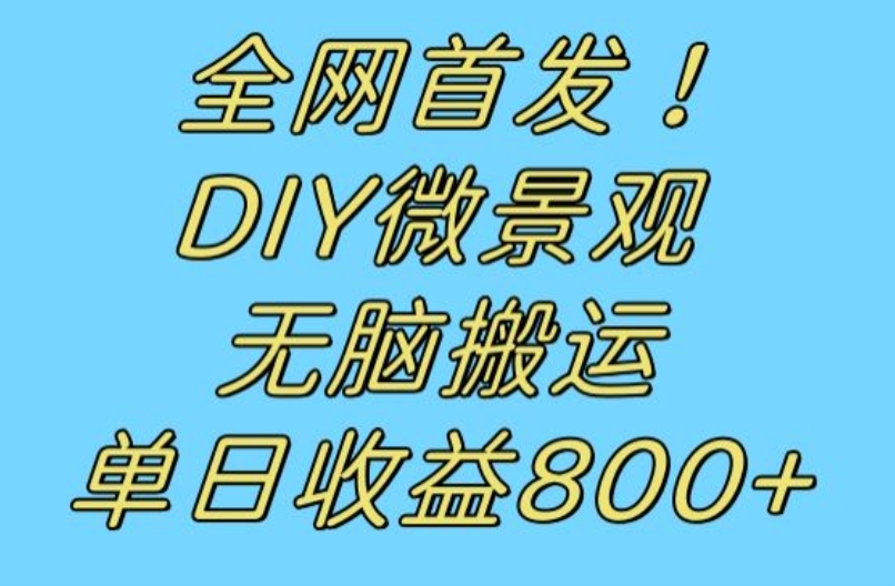 全网首发冷门赛道！DIY微景观，无脑搬运视频，日收益800+【揭秘】-三石资源库
