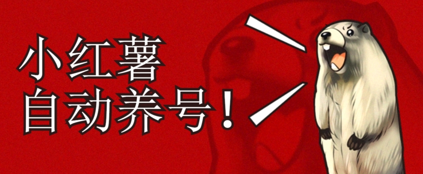 小红书养号秘籍，如何自动涨粉清晰系统标签打造高权重账号【揭秘】-三石资源库