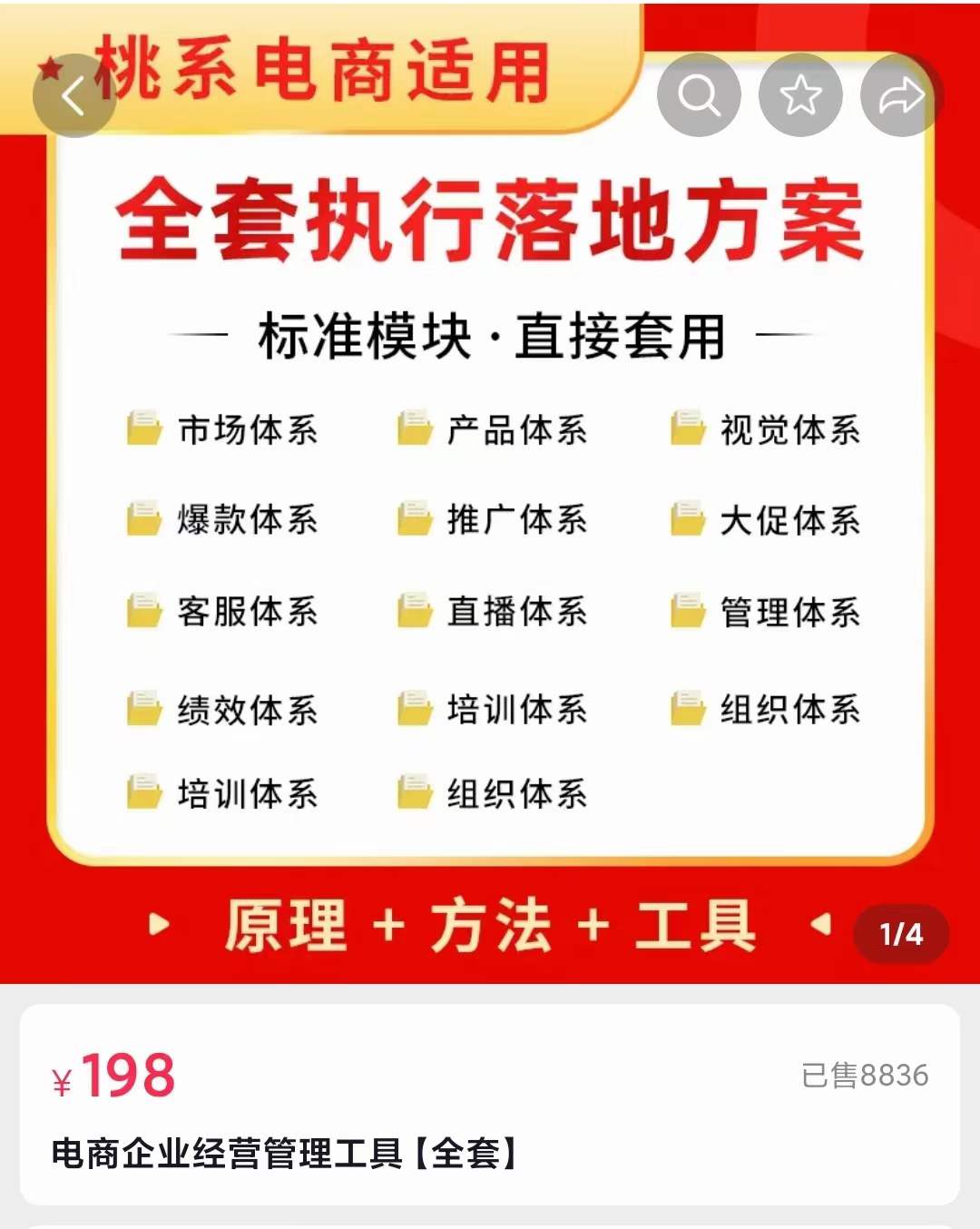 外面卖198·电商企业经营管理工具：全套执行落地方案 标准模块·直接套用-三石资源库