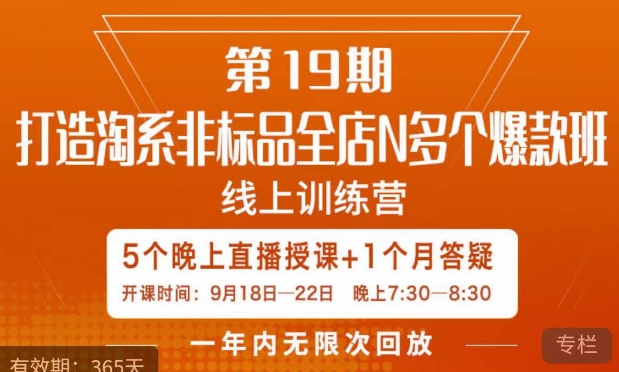 打造淘系非标全店N多个爆款线上课，​5天直播课-三石资源库