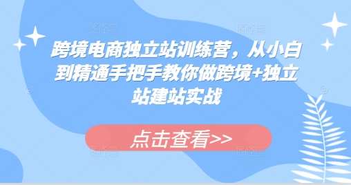 跨境电商独立站训练营，从小白到精通手把手教你做跨境+独立站建站实战-三石资源库