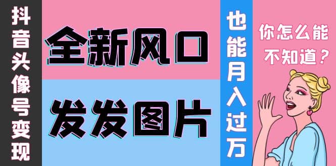 抖音头像号变现0基础教程-三石资源库
