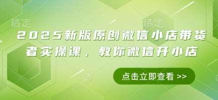 2025新版原创微信小店带货者实操课，教你微信开小店-三石资源库