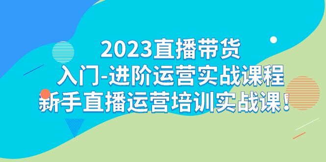 2023直播带货入门-进阶运营实战课程：新手直播运营培训实战课-三石淘金网