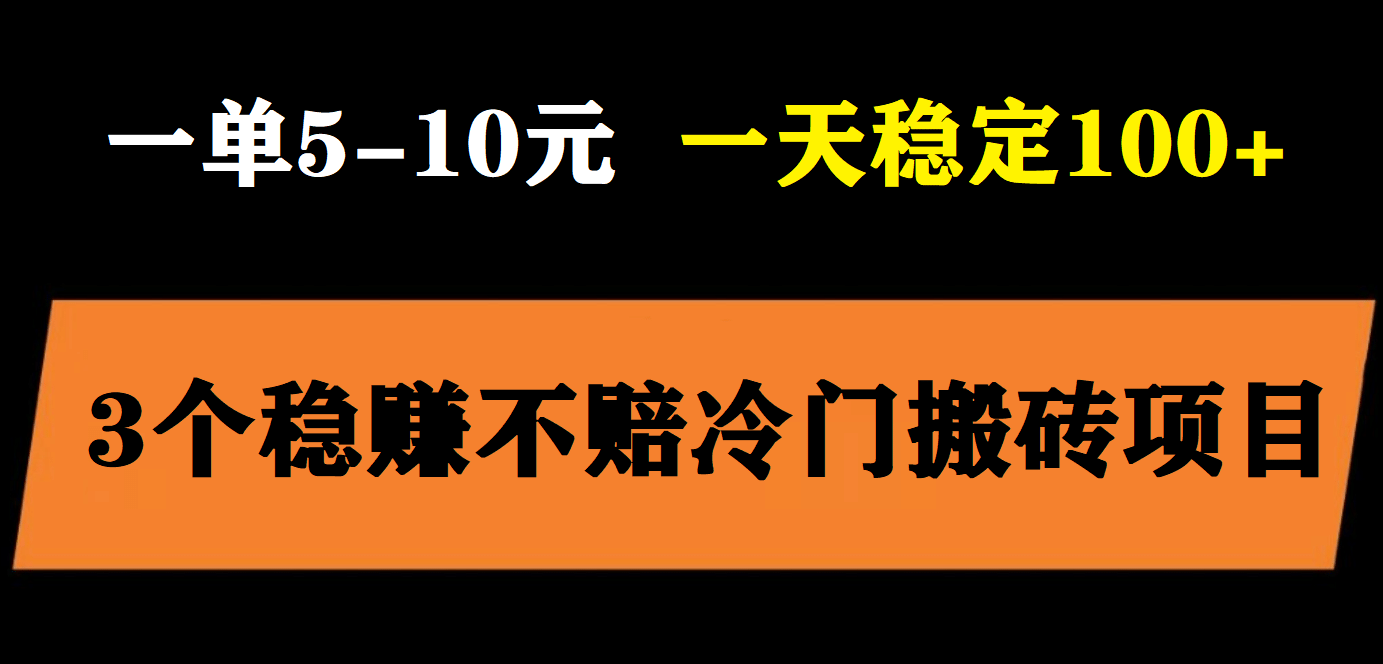 3个最新稳定的冷门搬砖项目，小白无脑照抄当日变现日入过百-三石资源库