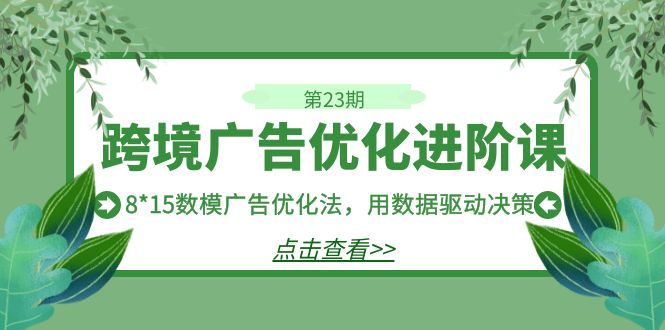 跨境广告·优化进阶课·第23期，8*15数模广告优化法，用数据驱动决策-三石淘金网