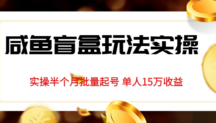 独家首发咸鱼盲盒玩法实操，半个月批量起号单人15万收益揭秘-三石淘金网