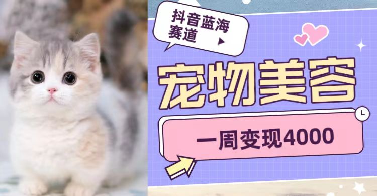 抖音蓝海赛道，宠物美容，一周变现4000-三石资源库