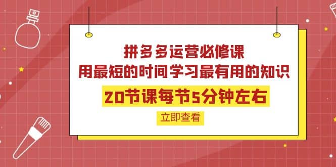 拼多多运营必修课：20节课每节5分钟左右，用最短的时间学习最有用的知识-三石资源库