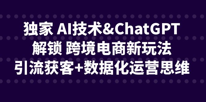 独家 AI技术&ChatGPT解锁 跨境电商新玩法，引流获客+数据化运营思维-三石淘金网