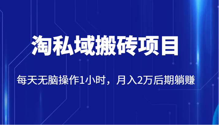 价值2980的淘私域搬砖项目，每天无脑操作1小时，月入2万后期躺赚-三石淘金网