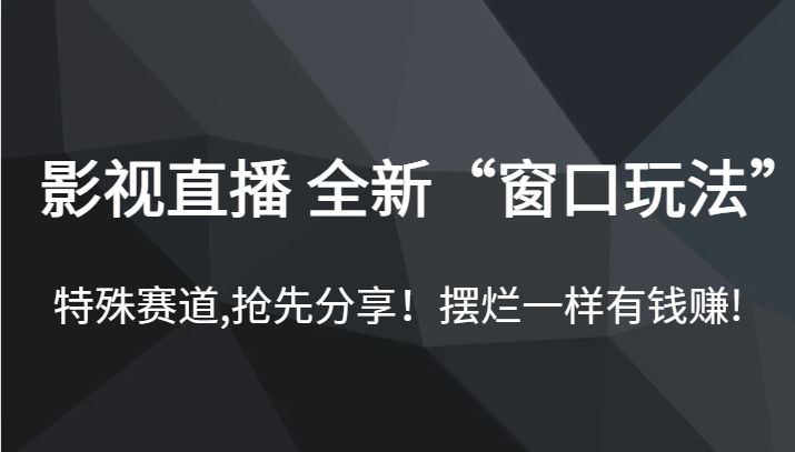 影视直播 全新“窗口玩法”，特殊赛道,抢先分享！摆烂一样有钱赚!-三石淘金网
