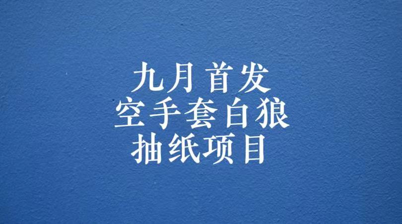 0成本，日入100-500空手套白狼抽纸项目，保姆级教学-三石淘金网