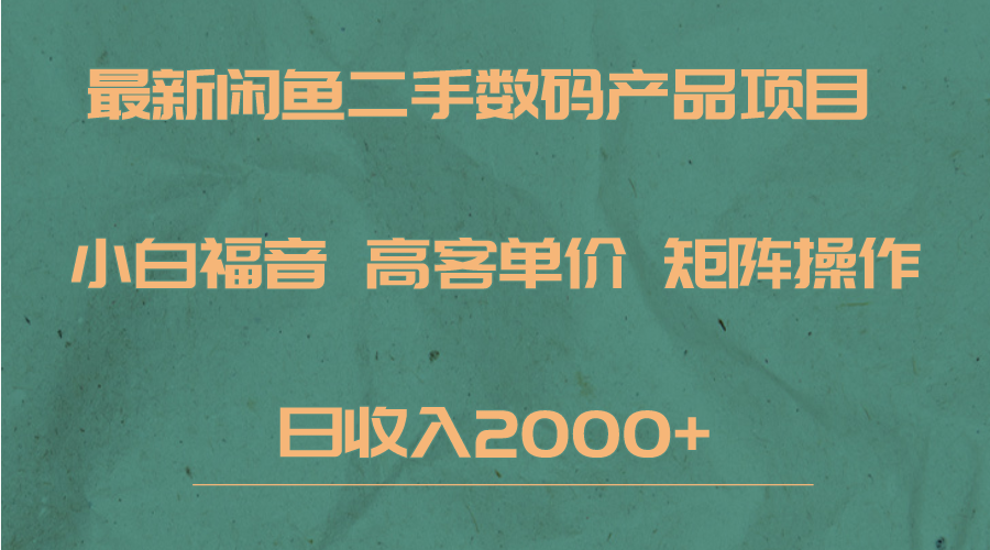 最新闲鱼二手数码赛道，小白福音，高客单价，矩阵操作，日收入2000+-三石淘金网