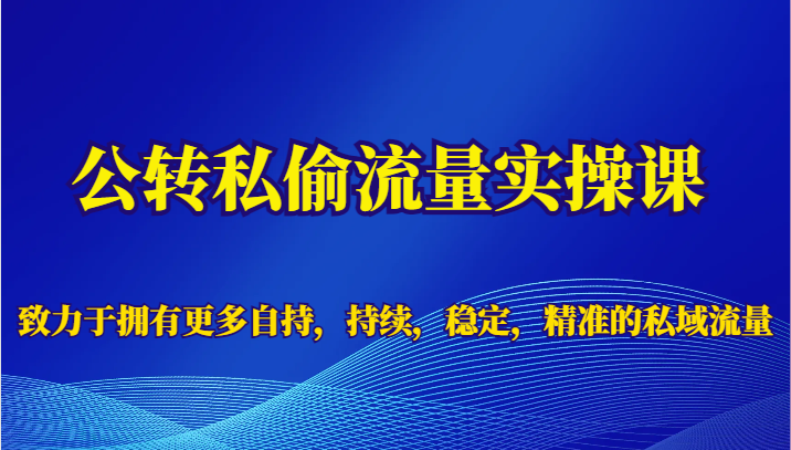 公转私偷流量实操课，致力于拥有更多自持，持续，稳定，精准的私域流量-三石淘金网
