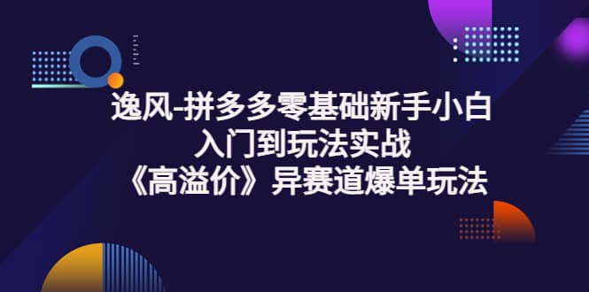 拼多多零基础新手小白入门到玩法实战《高溢价》异赛道爆单玩法实操课-三石资源库