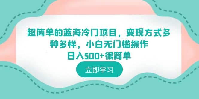 超简单的蓝海冷门项目，变现方式多种多样，小白无门槛操作日入500+很简单-三石资源库