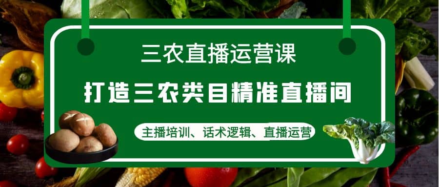 三农直播运营课：打造三农类目精准直播间，主播培训、话术逻辑、直播运营-三石资源库
