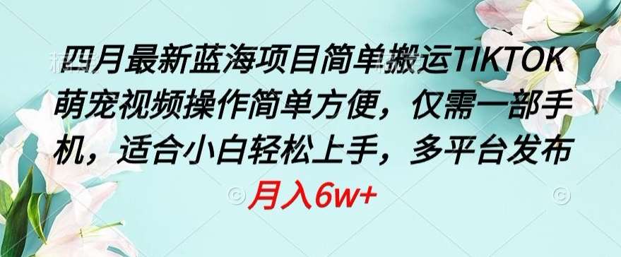 四月最新蓝海项目，简单搬运TIKTOK萌宠视频，操作简单方便，仅需一部手机【揭秘】-三石淘金网