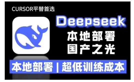 2025年deepseek R1 大型模型本地安装部署(文件+教程)本地部署，超低训练成本-三石资源库