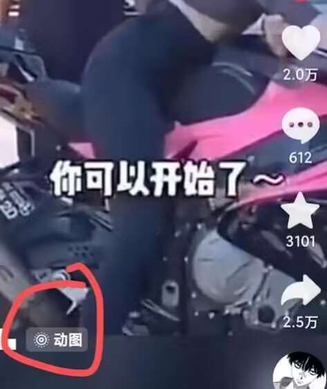 图片[2]-2024年7月苹果手机动图搬运技术-三石资源库