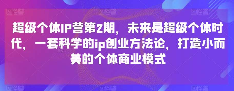 超级个体IP营第2期，未来是超级个体时代，一套科学的ip创业方法论，打造小而美的个体商业模式-三石淘金网