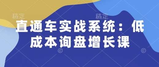 直通车实战系统：低成本询盘增长课，让个人通过技能实现升职加薪，让企业低成本获客，订单源源不断-三石资源库