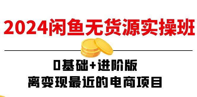 （11535期）2024闲鱼-无货源实操班：0基础+进阶版，离变现最近的电商项目（15节）-三石资源库
