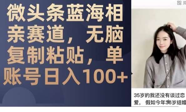 微头条蓝海相亲赛道，无脑复制粘贴，单账号日入100+-三石淘金网
